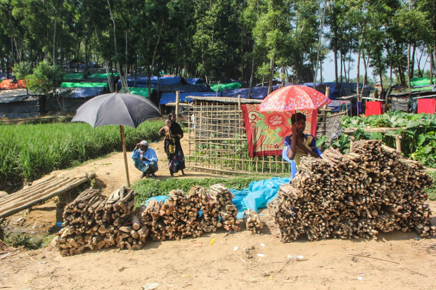 কুতুপালং শরণার্থী শিবিরের কাছে জ্বালানি কাঠ বিক্রি করছে এক রোহিঙ্গা কিশোর। ৩০ অক্টোবর ২০১৭।