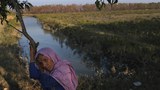 প্রাণভয়ে রাখাইন রাজ্য ছেড়ে নাফ নদী পার হয়ে বাংলাদেশে প্রবেশের পর গাছে হেলান দিয়ে জিরিয়ে নিচ্ছেন রোহিঙ্গা শরণার্থী আমিনা খাতুন।