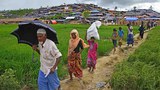 চরম ঝুঁকিতে থাকা রোহিঙ্গাদের নিরাপদ           ভূমিতে সরিয়ে নেওয়া হচ্ছে