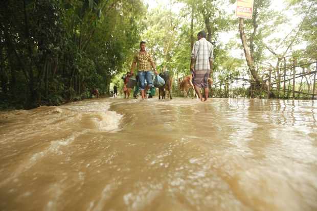 গোপালগঞ্জ এলাকায় বন্যার পানিতে ডুবে যাওয়া রাস্তা।