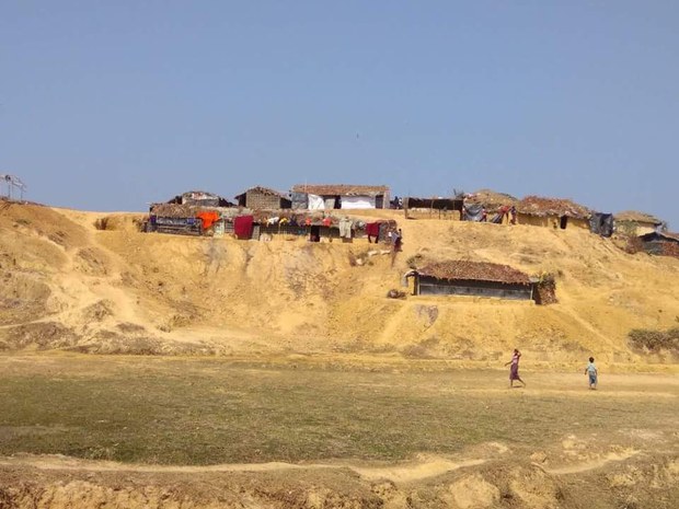 গাছ কেটে এসব স্থানেই গড়ে উঠছে রোহিঙ্গা বসতি