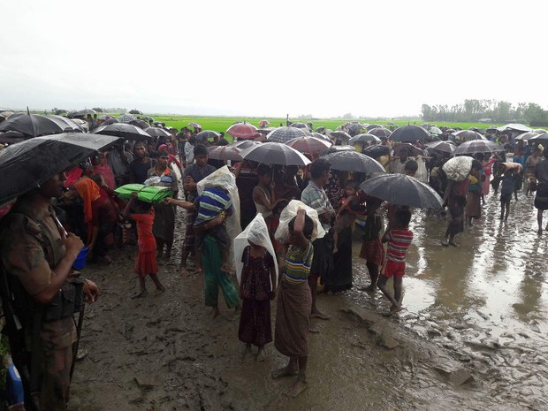 টেকনাফের কাঞ্চনপাড়া সীমান্তে বাংলাদেশে অনুপ্রবেশের সময় বিজিবির হাতে আটক রোহিঙ্গারা। 