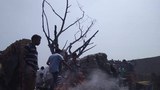 অগ্নিকাণ্ডের ১০ ঘণ্টা পরেও ধ্বংসস্তূপ থেকে ধোঁয়া বের হতে দেখা যায়। 