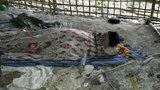 Thai-trafficking