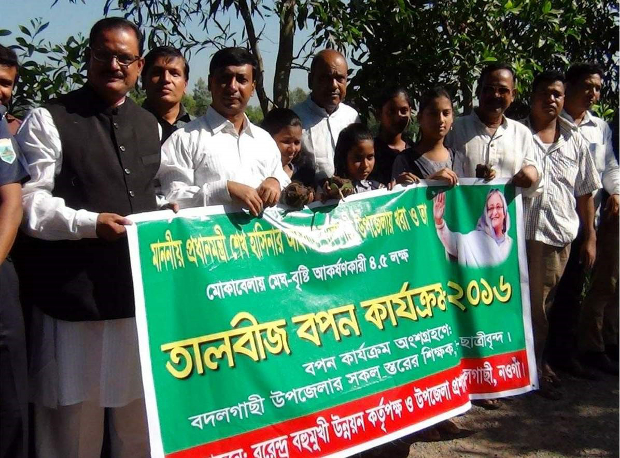 নওগাঁর বদলি গাছি উপজেলায় সাড়ে চার লাখ তাল বীজ রোপণ করা হয়েছে। জানুয়ারি ২৬, ২০১৭।