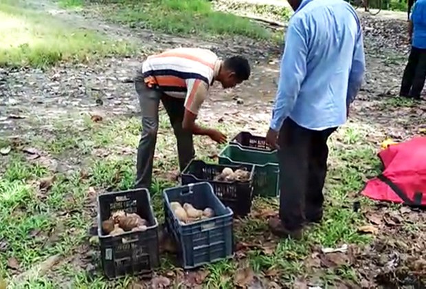 পশ্চিমবঙ্গে পঞ্চায়েত বোর্ড গঠন ঘিরে হিংসার বলি ১০ পশ্চিমবঙ্গে পঞ্চায়েত বোর্ড গঠন ঘিরে হিংসার বলি ১০