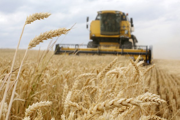 Ukraine war disrupts cereal markets, threatens food security in SE Asia Ukraine war disrupts cereal markets, threatens food security in SE Asia