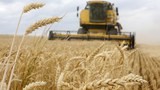 Ukraine war disrupts cereal markets, threatens food security in SE Asia
