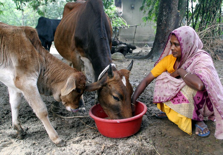 MICROCREDIT.JPG MICROCREDIT.JPG
