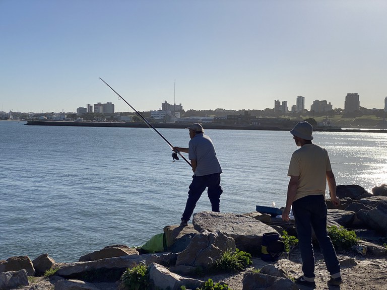 Mar del Plata Fisherman 1.JPG Mar del Plata Fisherman 1.JPG