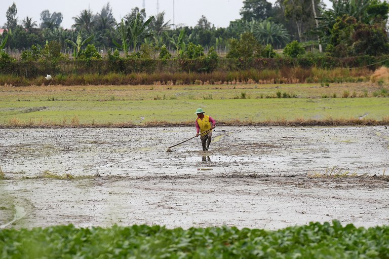 ENG_SOUTHEASTASIA-FOOD_commentary_10132023.6.jpg ENG_SOUTHEASTASIA-FOOD_commentary_10132023.6.jpg