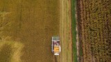 Southeast Asia’s mounting food insecurity