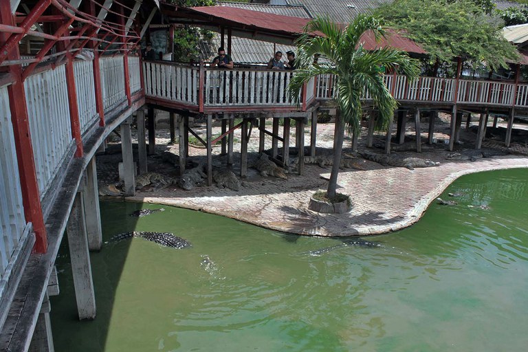 ENG_COMMENT_SoutheastAsia_Suicide_01122024_03.jpg ENG_COMMENT_SoutheastAsia_Suicide_01122024_03.jpg
