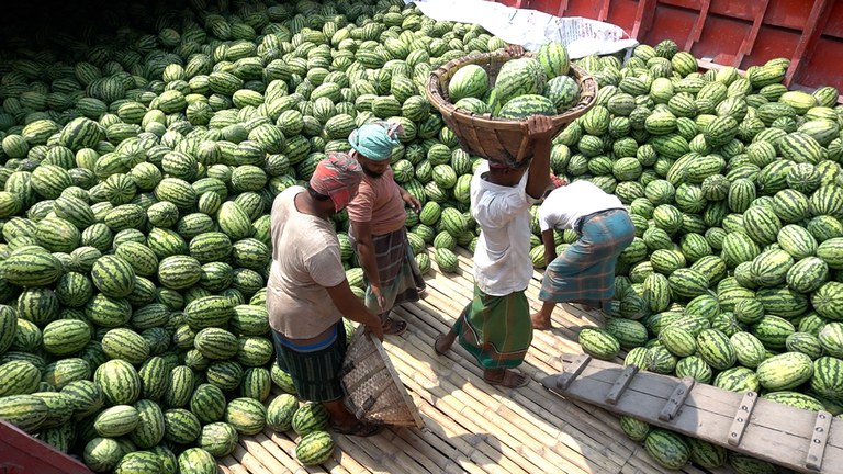 04 bd-watermelon2.jpg 04 bd-watermelon2.jpg