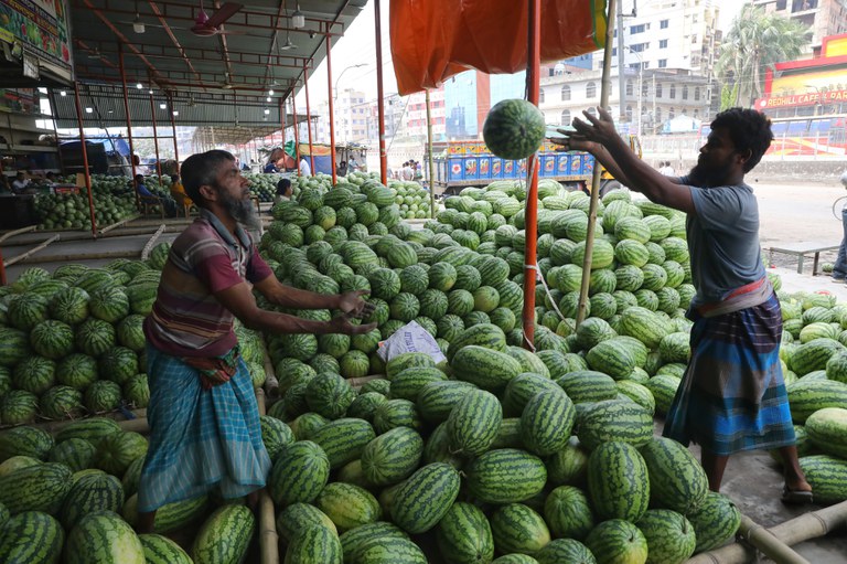 04 bd-watermelon3.jpg 04 bd-watermelon3.jpg
