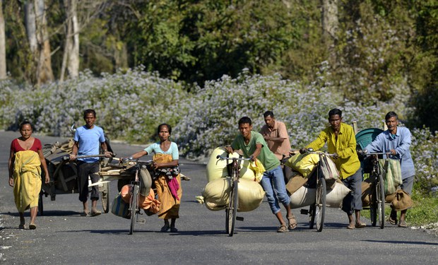 190130-IN-Assam-1000.jpg 190130-IN-Assam-1000.jpg