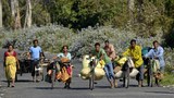 190130-IN-Assam-1000.jpg