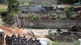 190429_Suspected_militants_1000.JPG