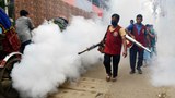 170720_Chikungunya_620.jpg