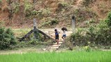 110911-landmines.620.JPG