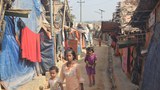 UN Refugee Agency Raises $340M to Assist Rohingya in Bangladesh