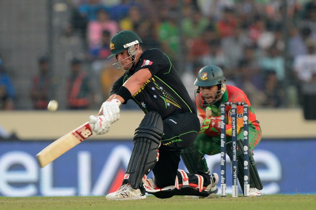 151001-BD-cricket-1000 151001-BD-cricket-1000