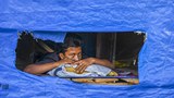 Rohingya at risk of being forgotten, activists say