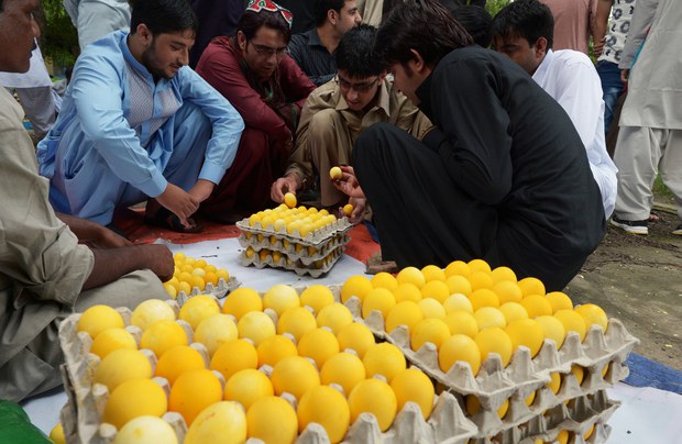 150721-IN-eggs-620 150721-IN-eggs-620