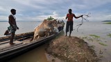 160729-IN-floods-620.jpg