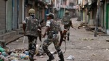 190208-IN-violence-1000.jpg