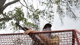 170608-IN-kashmir-620.jpg