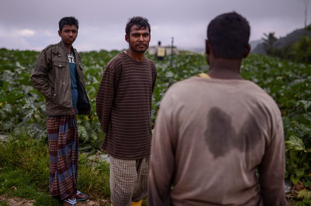 180814-MY-BD-Migrantworkers1000.jpg