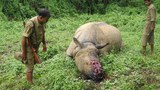 160621-IN-rhino-poacher-620.jpg