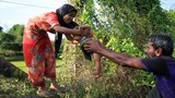 170828_Rohingya_620.jpg