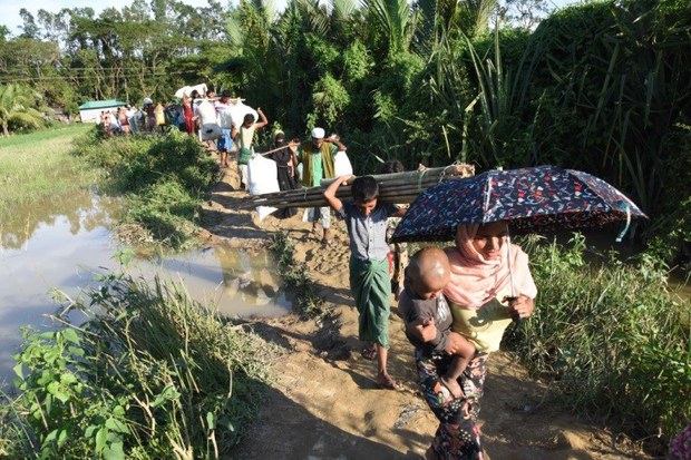 171023-BD-rohingya-620.jpg 171023-BD-rohingya-620.jpg