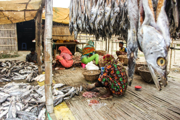  Rohingya refugees work at a fish farm in Cox's Bazar, Bangladesh, Oct. 31, 2017. (Rohit Wadhwaney/BenarNews)