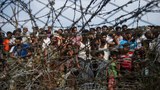 For Rohingya Refugees, Myanmar Military’s Crackdown on Protesters is All Too Familiar