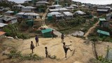 Terror in Rohingya camp as boys kidnapped to fight in Myanmar