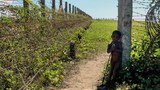 171107-border-620.jpeg