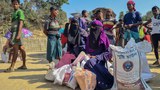 ‘Deeper into hunger’: UN to halve food aid for Rohingya in Bangladesh