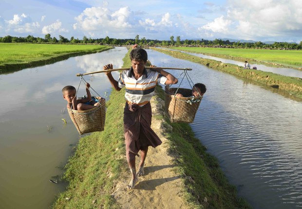 171011_Rohingya_1000.jpg 171011_Rohingya_1000.jpg