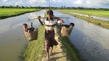 171011_Rohingya_1000.jpg