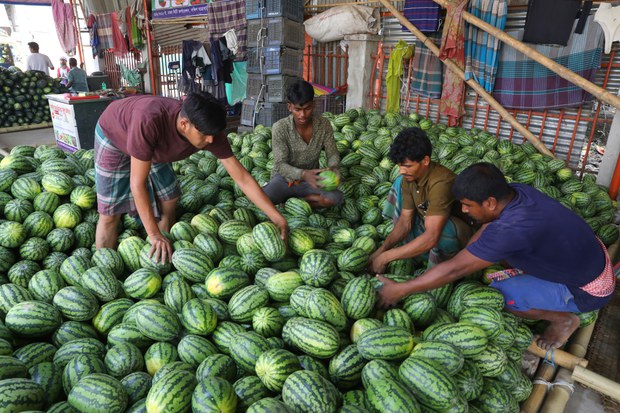 Bangladeshi boycott campaign on social media credited with deflating watermelon prices Bangladeshi boycott campaign on social media credited with deflating watermelon prices