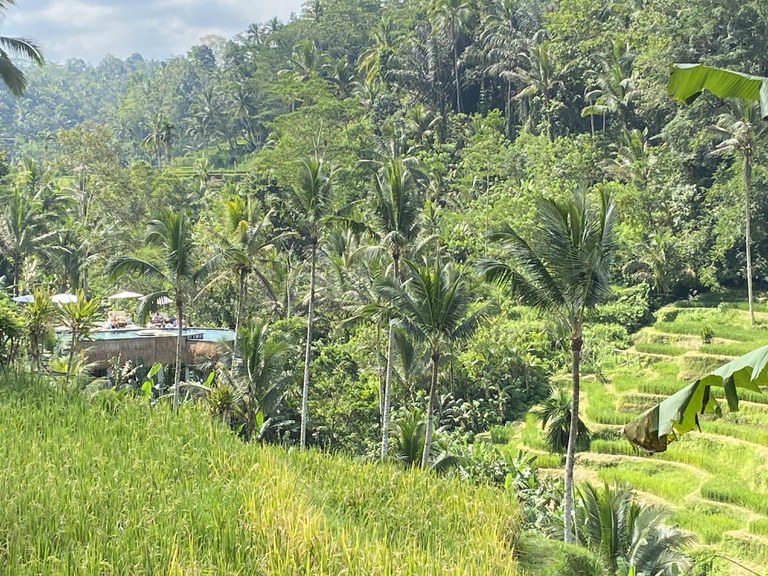 01 bali-inside.jpg 01 bali-inside.jpg