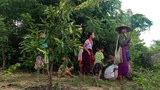 ASEAN aid promised in May has yet to reach Myanmar’s refugees