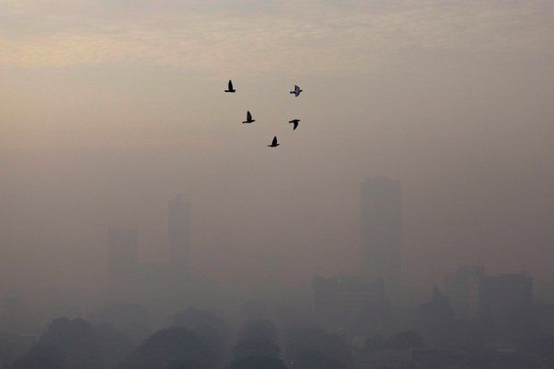 Improved air quality in Southeast Asia in 2022, report says