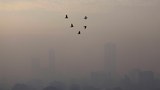 Improved air quality in Southeast Asia in 2022, report says