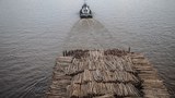 Ambition of COP26 Pact to Stop Deforestation Deters Some Southeast Asian Nations