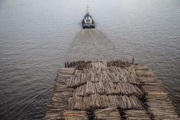 Ambition of COP26 Pact to Stop Deforestation Deters Some Southeast Asian Nations Ambition of COP26 Pact to Stop Deforestation Deters Some Southeast Asian Nations