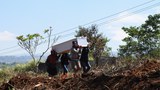 Indonesia Gets Grim Boost on Revised COVID Info Dashboard
